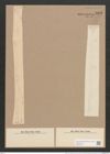 Synedra ulna var. longissima (W. Sm.) Brun. (de-Toni-Nr.: Genus 66, Species 2584) Zeichnungen Sammlung Grunow Nr. 5209 (NHMW-BOT-W0373575)